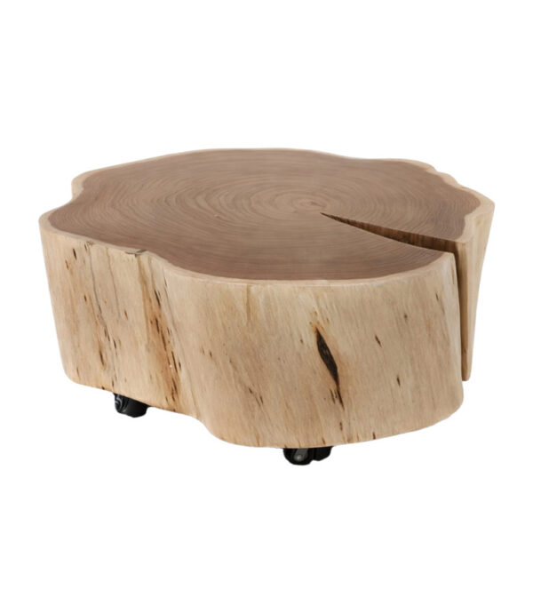 Coast by DK 12233 Corwin Coffee Table