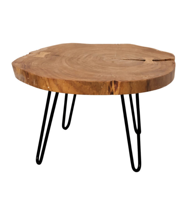 Coast by DK 12237 Caden Coffee Table