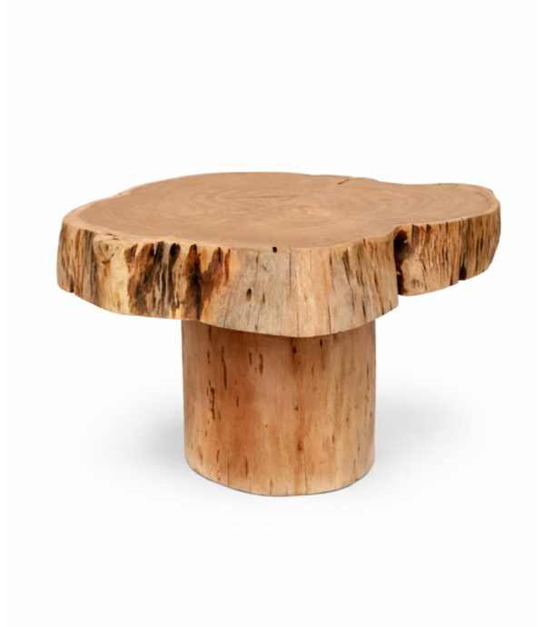 Coast by DK 12313 Elliston Wooden Log Table