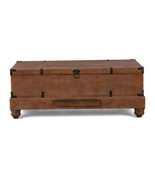 Coast by DK 12362 Westvale Storage Trunk
