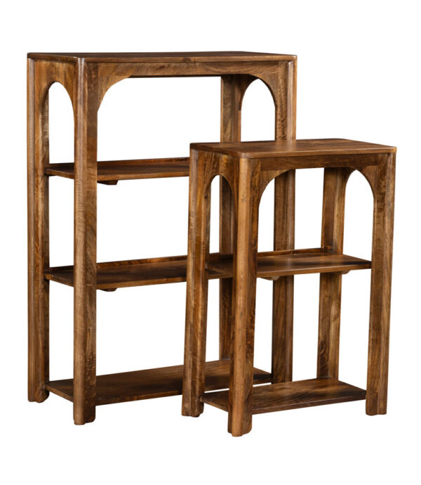 Coast by DK 12411 Archdale Bookshelves